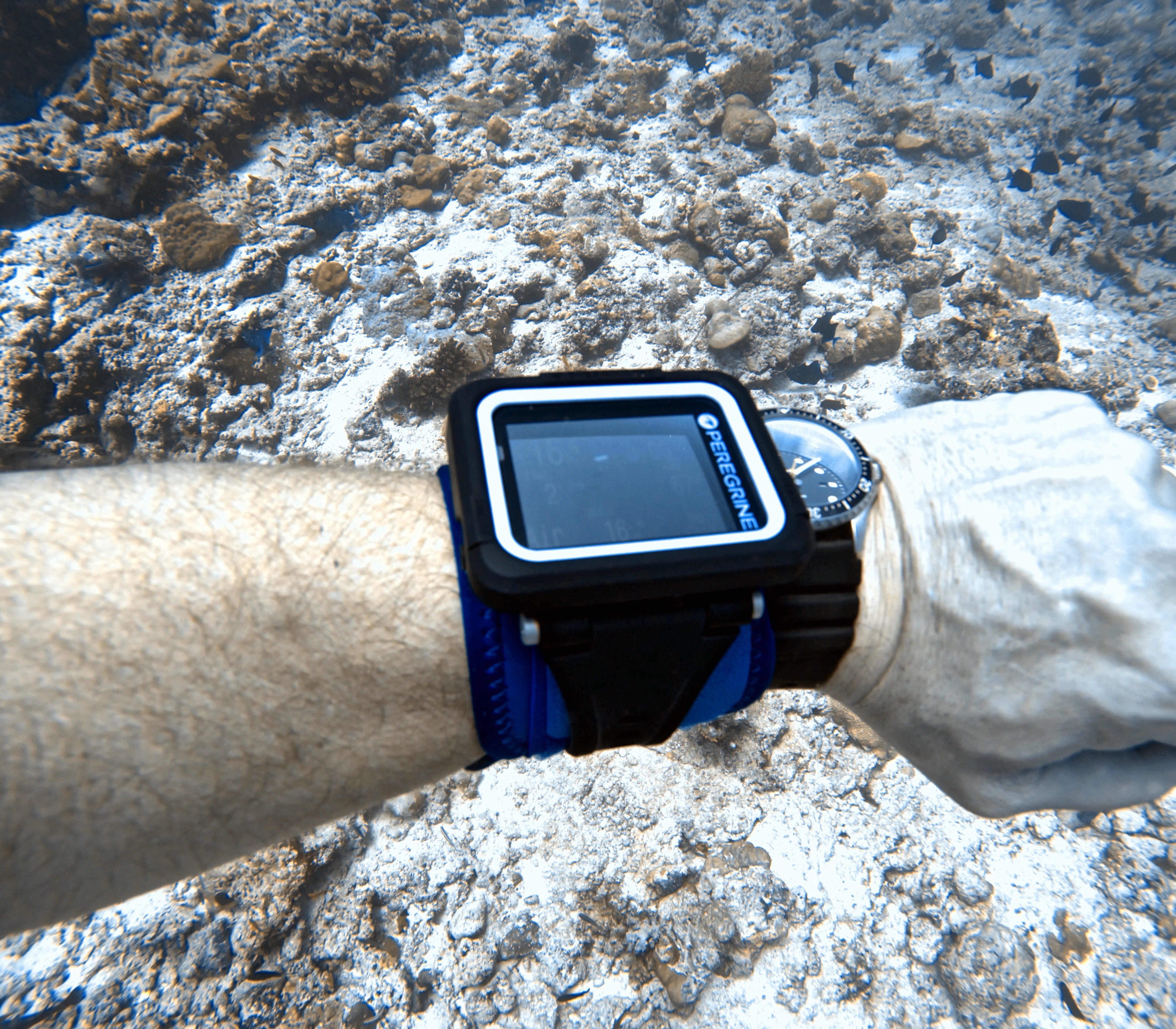 Neoprene Dive Computer Wrist Grip